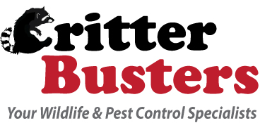 custom logo design and branding pest company