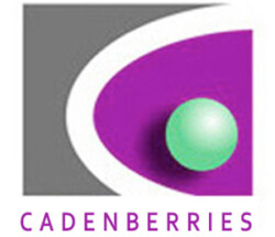 logo design and branding