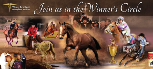 Trade Show banner, Equine graphics Trade Show banner Equine