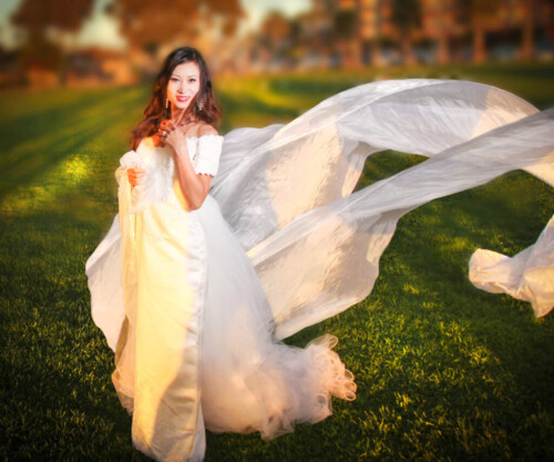 Bridal Dress Photography